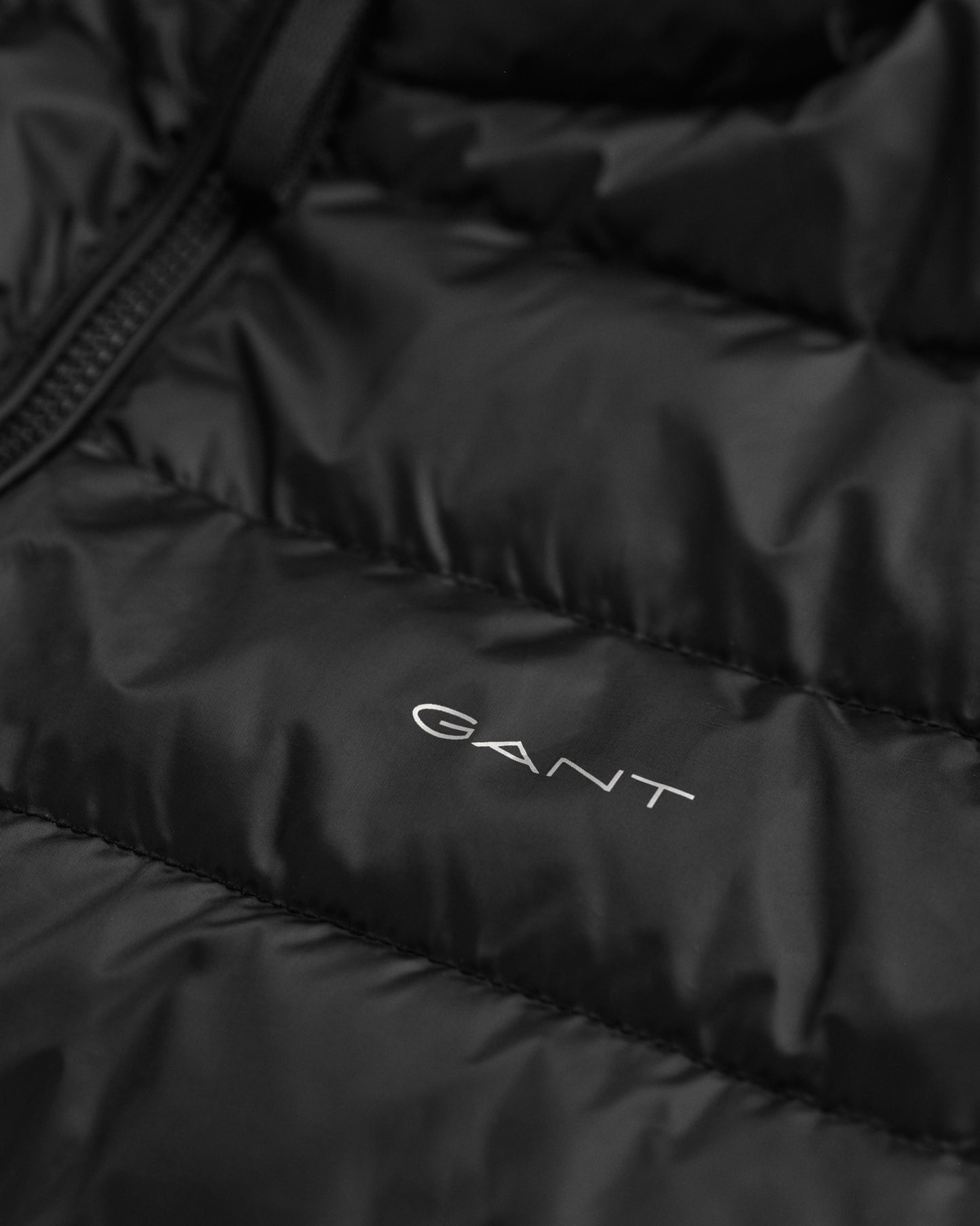 Light Down Jacket