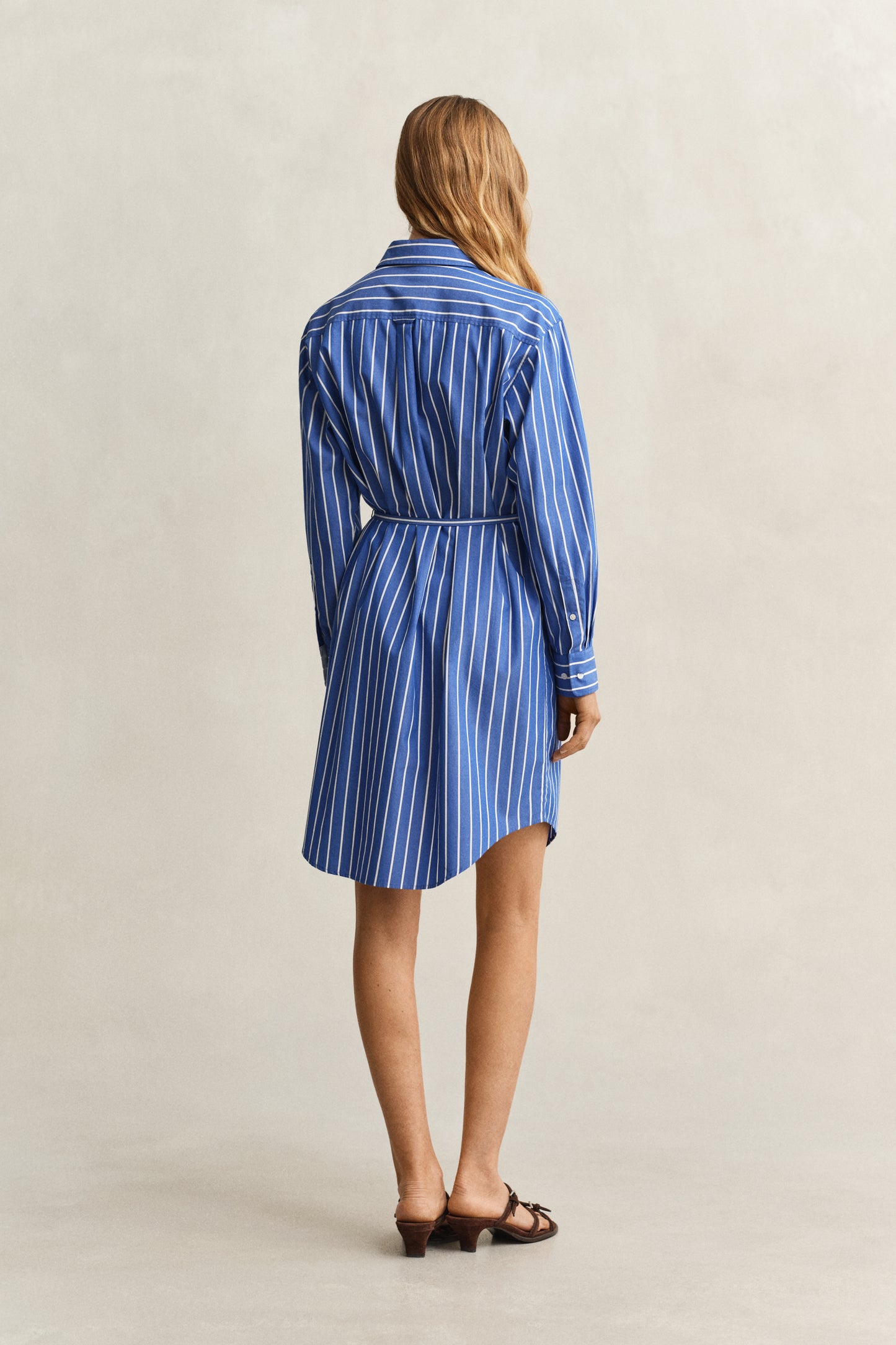 ROYAL BLUE, CLASSIC POPLIN STRIPE DRESS, BACK-VIEW BY GANT AU.