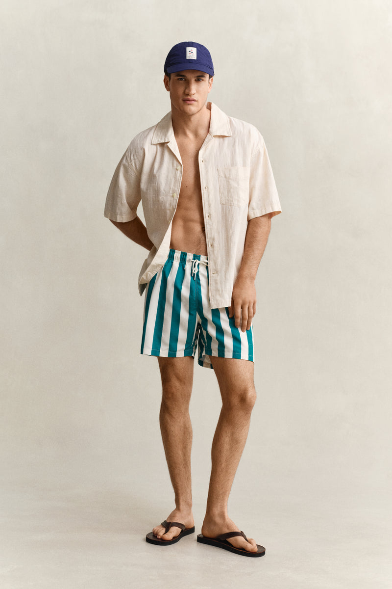 Block Striped Swim Shorts