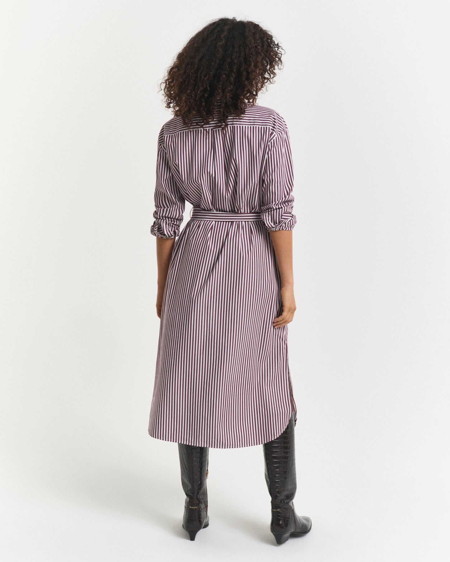 Belted Classic Poplin Shirt Dress